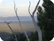 Pequop Mountains