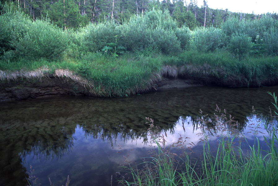 wyoming wind rivers